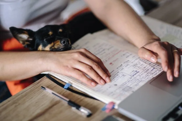 kaboompics_Woman-working-on-her-laptop-with-her-dog-624x416